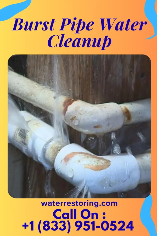 Burst Pipe Water Cleanup in Warrenton, VA